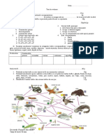 Test Relatii Trofice in Ecosistem