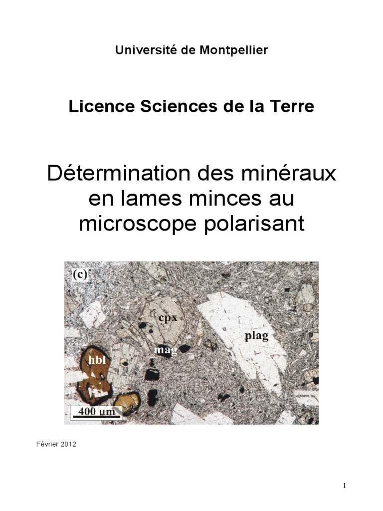 Poly Microscope PDF | PDF | Lumière | Vagues