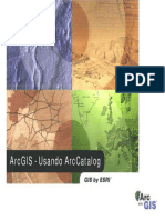 Arcgis & Arccatalog PDF