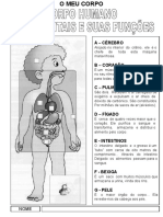 informaosobreasfunesdonossocorpo-111024120321-phpapp01