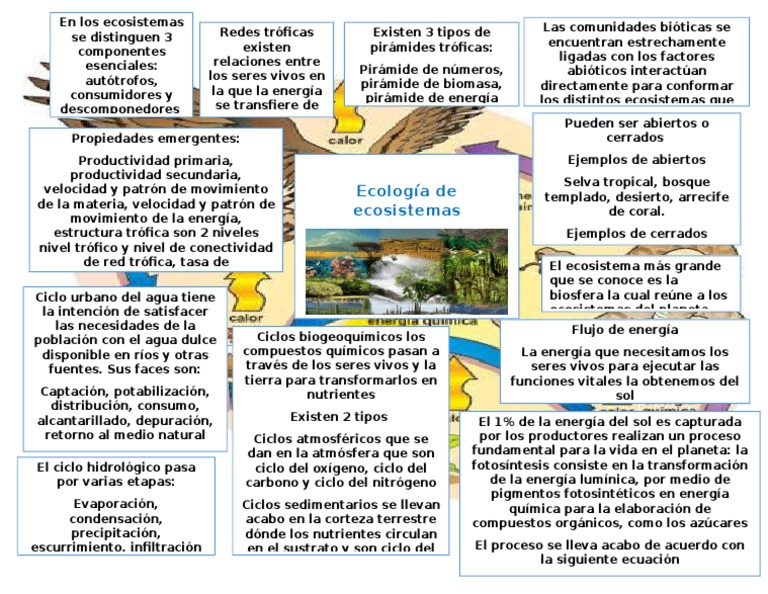 Mapa conceptual de ecosistemas y ciclos | PDF | Ciencia y matemáticas
