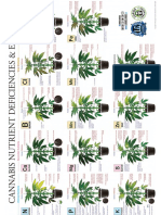 Marijuana Deficiency Chart Jorge Cervantes