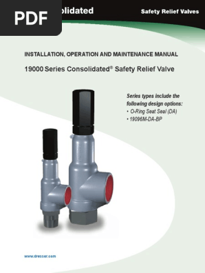 Consolidated Safety Valve 19110 Pdf Valve Pressure