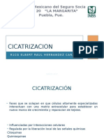 Cicatrizacion 28032017