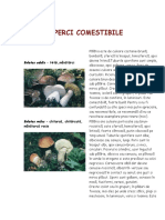 Ciuperci-comestibile.pdf