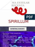 Spiri Lum