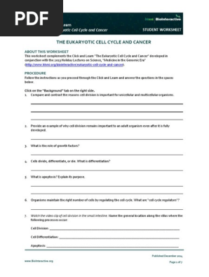 Mitosis Worksheet