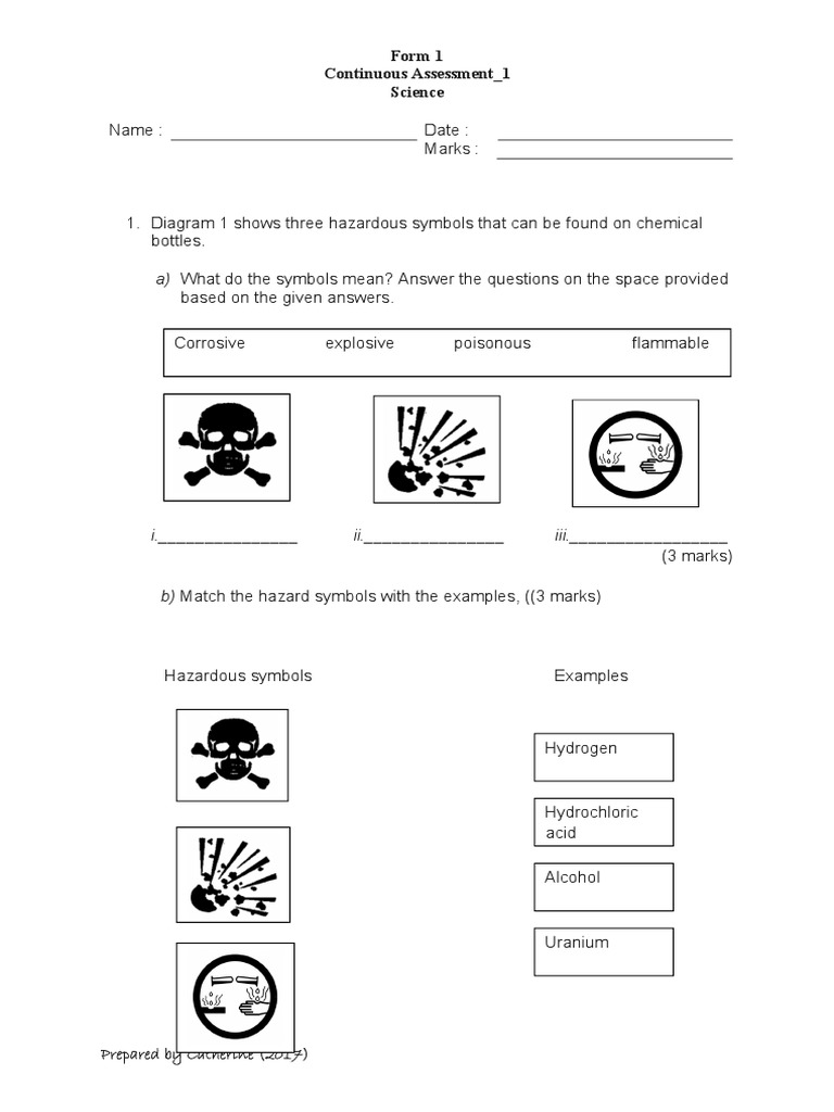 Hazard Symbols in Chemistry Assessment | PDF | Photosynthesis | Cell ...