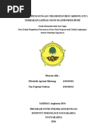 Download Pengaruh CFC terhadap lapisan Ozon O3  di atmosfer bumi by Elisabeth Sihotang SN344245884 doc pdf