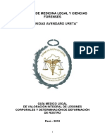 Guia Lesiones PDF