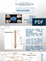 Tema 2 - Bases Biológicas de La CX - Psicología