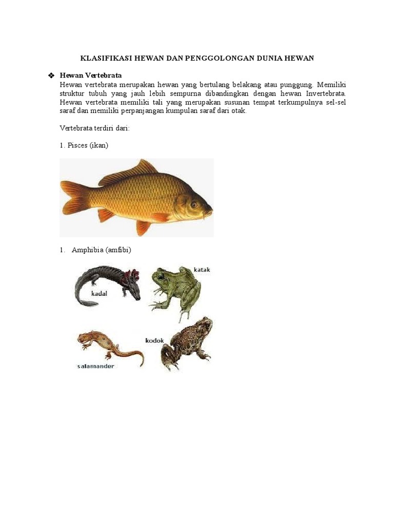 Klasifikasi Hewan Dan Penggolongan Dunia Hewan