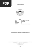 Download ECHINODERMATA REVISI by okgrista  SN344268496 doc pdf