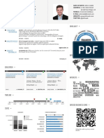 Infographic Resume Cs4 Copy