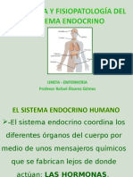 SISTEMA ENDOCRINO_4.ppt