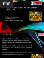 1. Seminário de Pesquisa (July)