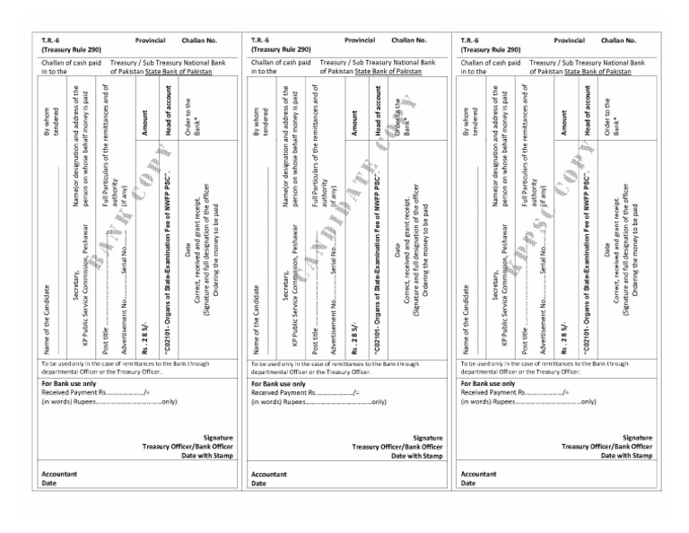 Challan Form | PDF