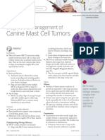 Canine Mast Cell Tumors