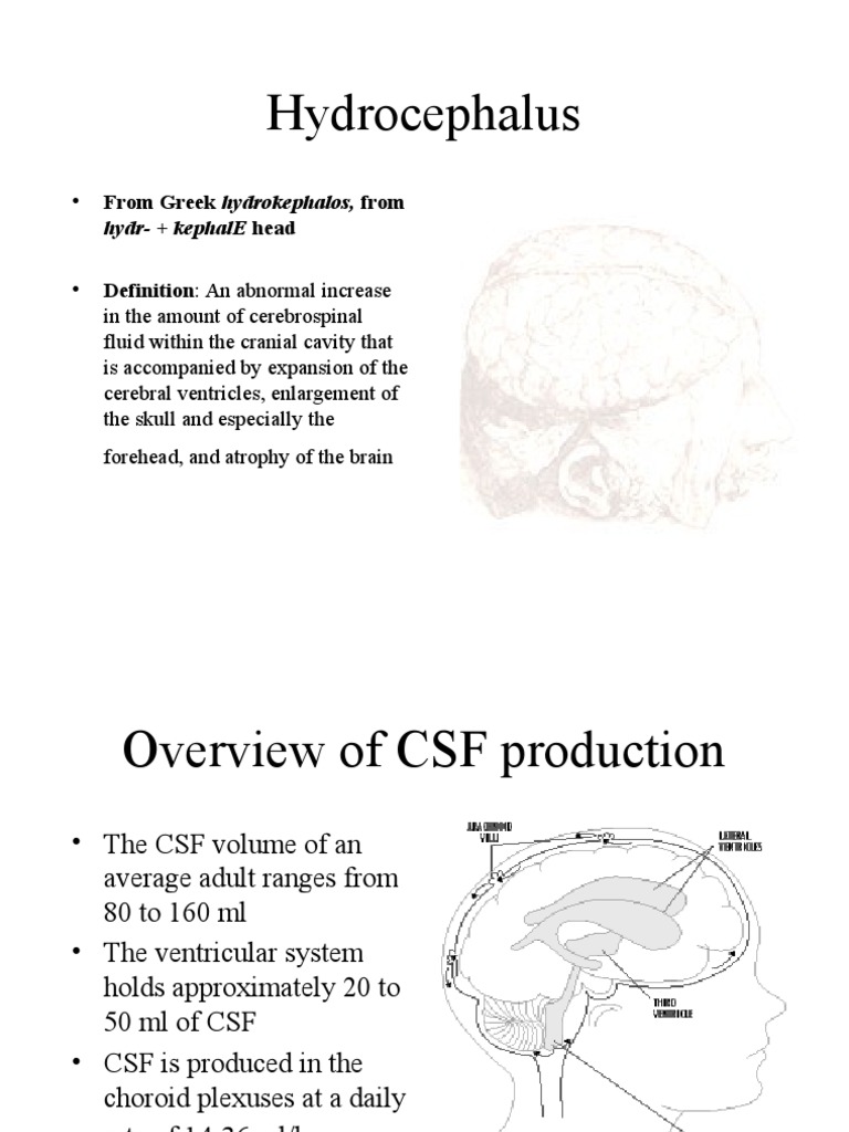 Hydrocephalus | PDF | Cerebrospinal Fluid | Nervous System