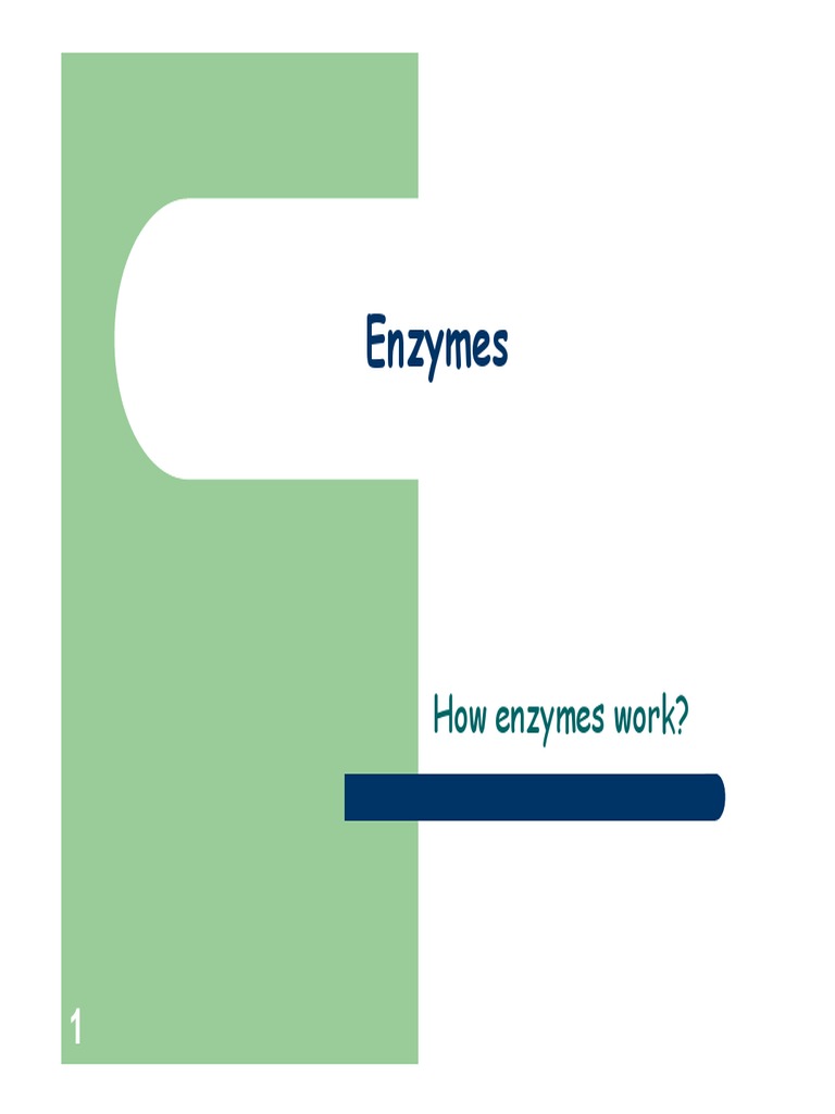 Biochem Enzyme 6 PDF Enzyme Inhibitor Enzyme