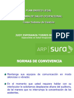 PLAN_BASICO_LEGAL_SALUD_OCUPACIONAL.pdf