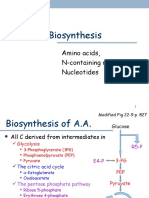 BC Aa Biosynthesis