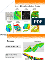 Petrel Workflow - 2 Days Introduction Course: Fault Modeling Pillar Gridding Vertical Layering Data Import