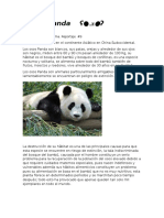 Reportaje Oso Panda
