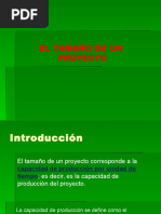 Unidad 8 - Determinación Del Tamaño