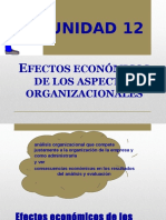 Unidad 12 - Efectos Economicos de Los Aspectos Organizacionales