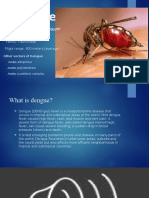 Dengue