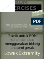 3. ROM Exercise 2 (Ext Inferior)