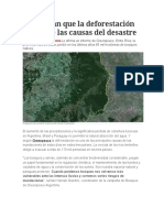 Deforestación Es Una de Las Causas Del Desastre