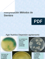 Metodos de Siembra y Metabolismo Bacteriano