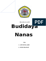 Budidaya Nanas 3