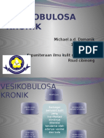 Referat Vesikobulosa Kronik