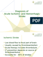 Diagnosis and Assessment of Acute Strokes