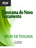 Panorama Do Novo Testamento r1