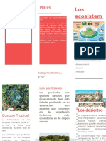 Triptico Ecosistemas