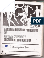 Parra Navas medula.pdf