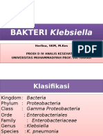 PP Klebsiella