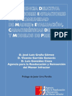 Reincidencia Delictiva en Menores Infractores. Madrid. Evaluacion y Modelos Predictivos. 2008