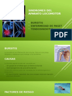 Sindromes Del Aparato Locomotor-2