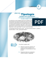 Que Es La Tipología de La Evaluación de Los Aprendizajes 4 de 11