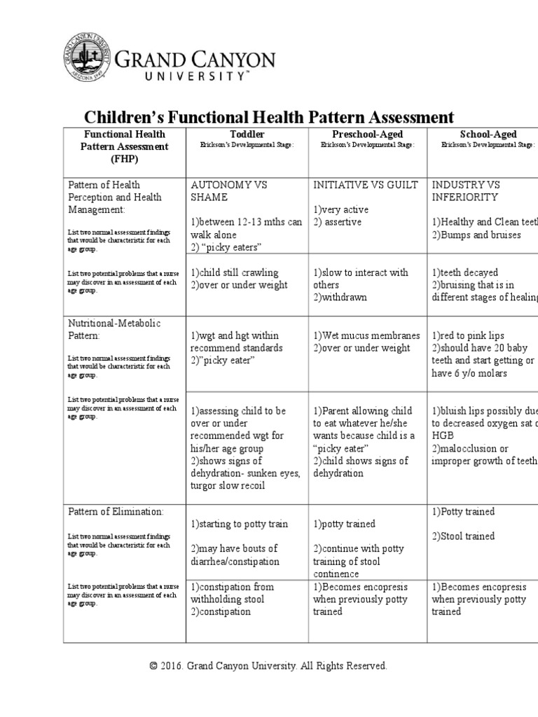 Childrens Functional Health Pattern Assessment Docx Child Development Relationships