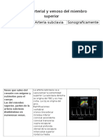 Sistema Arterial y Venoso Del Miembro Superior