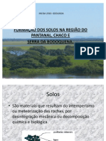 Formação Dos Solos Na Região Do Pantanal