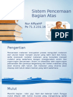 Sistem Pencernaan Bagian Atas