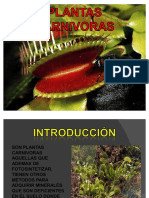 55377701-PLANTAS-CARNIVORAS-GENERALIDADES.pdf