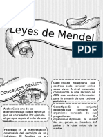 Leyes de Mendel - Expo